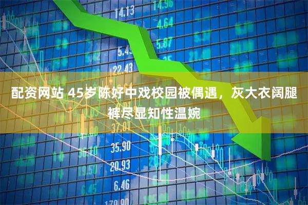 配资网站 45岁陈好中戏校园被偶遇，灰大衣阔腿裤尽显知性温婉